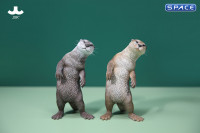 1/6 Scale Otter (brown)