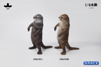 1/6 Scale Otter (brown)