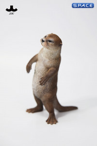 1/6 Scale Otter (brown)