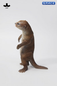 1/6 Scale Otter (brown)