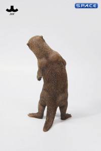 1/6 Scale Otter (brown)