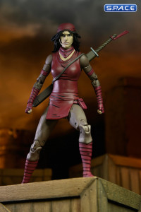 Ultimate Karai (Teenage Mutant Ninja Turtles: The Last Ronin)