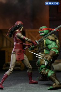 Ultimate Karai (Teenage Mutant Ninja Turtles: The Last Ronin)