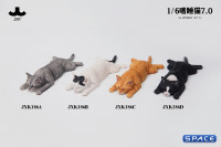 1/6 Scale lying Cat (white)