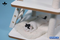 1/6 Scale lying Cat (white)