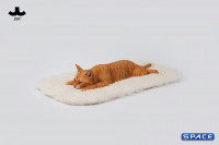 1/6 Scale lying Cat (red)