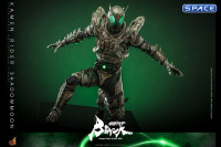 1/6 Scale Kamen Rider Shadowmoon TV Masterpiece TMS101 (Kamen Rider Black Sun)