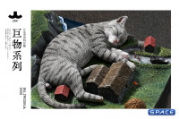 1/6 Scale slumbering Cat (grey)