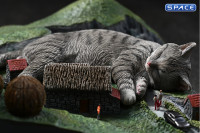 1/6 Scale slumbering Cat (grey)