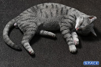 1/6 Scale slumbering Cat (grey)