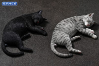 1/6 Scale slumbering Cat (grey)