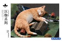 1/6 Scale slumbering Cat (red)