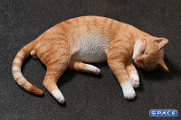 1/6 Scale slumbering Cat (red)