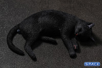 1/6 Scale slumbering Cat (black)