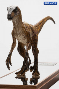 Clever Girl Velociraptor Maquette (Jurassic Park)