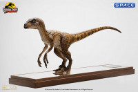 Clever Girl Velociraptor Maquette (Jurassic Park)
