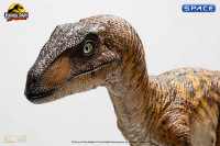 Clever Girl Velociraptor Maquette (Jurassic Park)