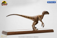 Clever Girl Velociraptor Maquette (Jurassic Park)