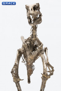 1/8 Scale Velociraptor Skeleton Bronze Statue (Jurassic Park)