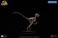 1/8 Scale Velociraptor Skeleton Bronze Statue (Jurassic Park)