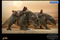 1/6 Scale Dewback Deluxe Version Movie Masterpiece MMS720 (Star Wars)