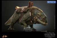 1/6 Scale Dewback Deluxe Version Movie Masterpiece MMS720 (Star Wars)