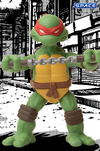 Teenage Mutant Ninja Turtles 5 Points Deluxe Box Set (Teenage Mutant Ninja Turtles)