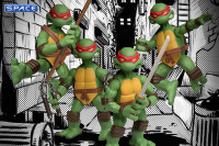 Teenage Mutant Ninja Turtles 5 Points Deluxe Box Set (Teenage Mutant Ninja Turtles)