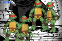 Teenage Mutant Ninja Turtles 5 Points Deluxe Box Set (Teenage Mutant Ninja Turtles)