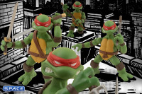 Teenage Mutant Ninja Turtles 5 Points Deluxe Box Set (Teenage Mutant Ninja Turtles)