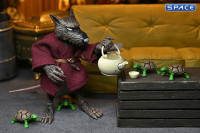 Splinter (Teenage Mutant Ninja Turtles)