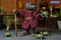 Splinter (Teenage Mutant Ninja Turtles)