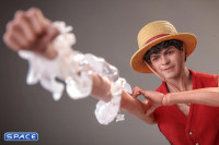 1/6 Scale Monkey D. Luffy TV Masterpiece TMS109 (One Piece)