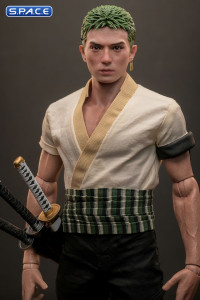 1/6 Scale Roronoa Zoro TV Masterpiece TMS110 (One Piece)