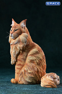 1/6 Scale sitting Maine Coon (red)