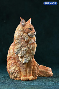 1/6 Scale sitting Maine Coon (red)