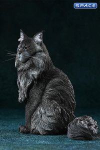 1/6 Scale sitting Maine Coon (black)