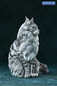 1/6 Scale sitting Maine Coon (grey)