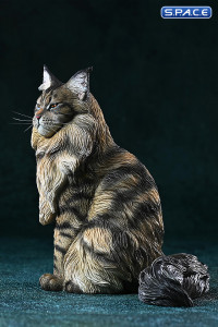 1/6 Scale sitting Maine Coon (brown)