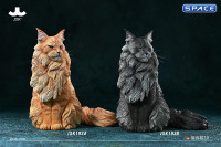 1/6 Scale sitting Maine Coon (brown)