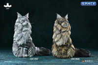 1/6 Scale sitting Maine Coon (brown)