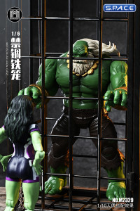 1/6 Scale Iron Cage