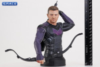 Hawkeye Bust (Hawkeye)