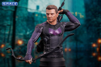 Hawkeye Bust (Hawkeye)