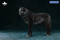 1/6 Scale Arctic Wolf Version A