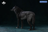 1/6 Scale Arctic Wolf Version A
