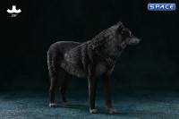 1/6 Scale Arctic Wolf Version A