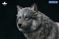 1/6 Scale Arctic Wolf Version B