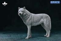 1/6 Scale Arctic Wolf Version C