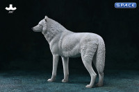 1/6 Scale Arctic Wolf Version C